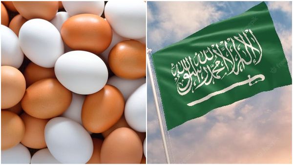 സൗദി അറേബ്യ കോഴിമുട്ട ഇറക്കുമതി നിരോധിച്ചു; രണ്ട് രാജ്യങ്ങള്‍ക്ക് തിരിച്ചടി, കാരണം ഇതാണ്