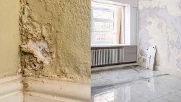 indoor damp: വീടിനുള്ളില്‍ രോഗാണുക്കള്‍ ഒളിഞ്ഞിരിക്കുന്ന ഇടങ്ങള്‍; നിങ്ങളെ രോഗിയാക്കാന്‍ ഇതു മതി