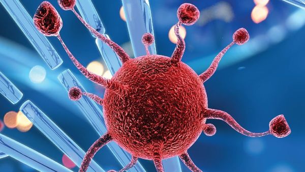 ഈ രണ്ട് ശീലങ്ങൾ നിങ്ങളെ മരണത്തിലേക്ക് നയിക്കുകയാണോ? ഇന്ന് തന്നെ ഉപേക്ഷിക്കാം