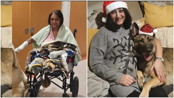 വളർത്തു നായ നക്കിയാൽ ശ്രദ്ധിക്കണം; ജീവൻ പോലും നഷ്ടപ്പെട്ടേക്കാം