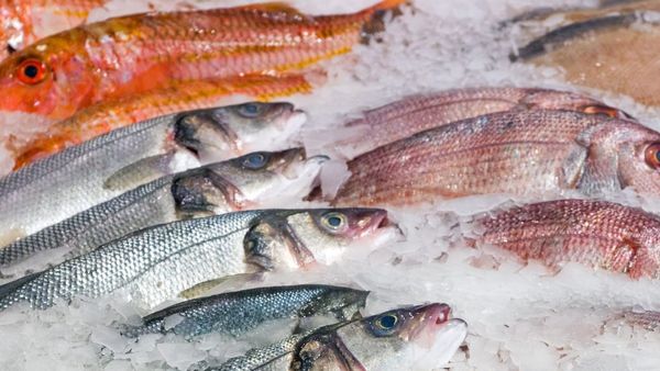 മത്സ്യം കഴിച്ചവർക്ക് വീണ്ടും അസ്വസ്ഥത, അതീവ ജാഗ്രത; വിപണികളിൽ കർശന പരിശോധന