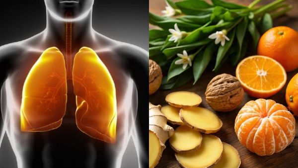 ശ്വാസകോശം സ്പോഞ്ച് പോലെയാണ്; ഇക്കാര്യങ്ങൾ ശ്രദ്ധിച്ചാൽ ടെൻഷൻ വേണ്ട, ഈ ഭക്ഷണങ്ങൾ കഴിക്കൂ