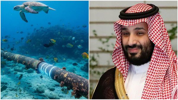 സൗദി അറേബ്യയുടെ സില്‍ക്ക് ലിങ്ക്!! കടലിലൂടെ കേബിള്‍, പുതിയ വിമാനക്കമ്പനി, കോടികള്‍ ഇറക്കുന്നു