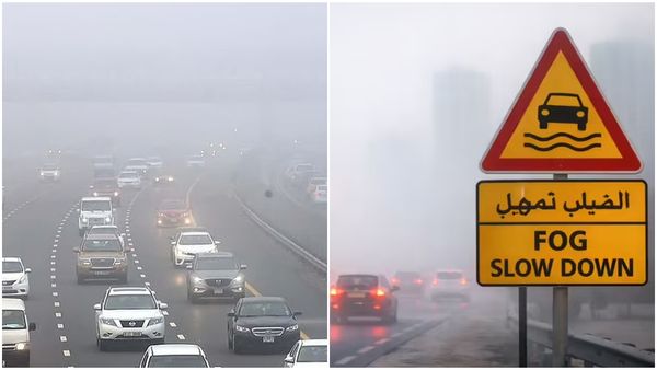റൺവേ കാണാതെ വിമാനങ്ങൾ, വഴിമുട്ടി വാഹനങ്ങൾ; മൂടൽ മഞ്ഞിൽ വിറച്ച് യുഎഇ