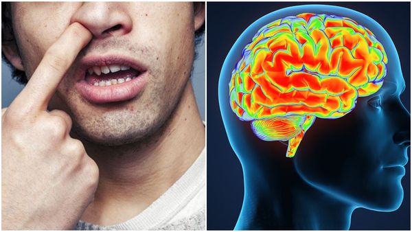 മൂക്ക് തോണ്ടുന്ന ശീലമുണ്ടോ? സൂക്ഷിക്കുക, കാത്തിരിക്കുന്നത് ഈ ഗുരുതര രോഗം!