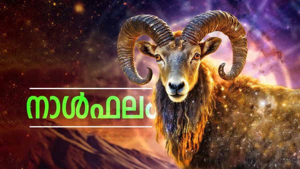 പ്രധാനപ്പെട്ട യാത്രകള്‍ ഉണ്ടാകും, സമ്പാദ്യം വര്‍ധിക്കും, ഉന്നതസ്ഥാനപ്രാപ്തി, വിഷമാവസ്ഥകള്‍ മാറും, നാൾഫലം