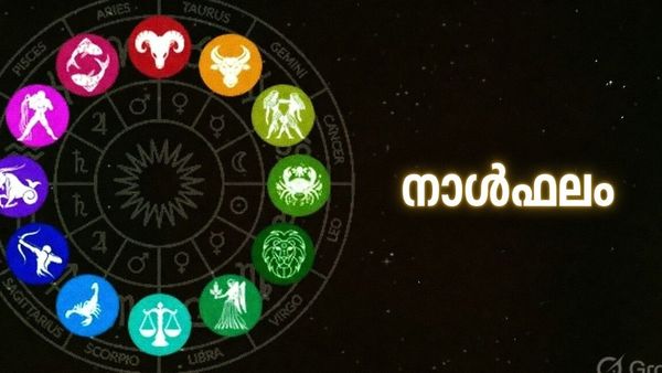 പ്രതീക്ഷിക്കാത്ത സമയത്ത് ധനം കൈവശം വന്നുചേരും, സ്ഥലം വാങ്ങും, കൃഷിയിൽ നിന്ന് വരുമാനം, നാൾഫലം