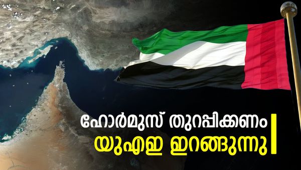ഹോര്‍മുസ് തുറക്കണം... ബഹുരാഷ്ട്ര സമുദ്രദൗത്യസേനയ്ക്ക് തയ്യാറെന്ന് യുഎസിനോട് യുഎഇ