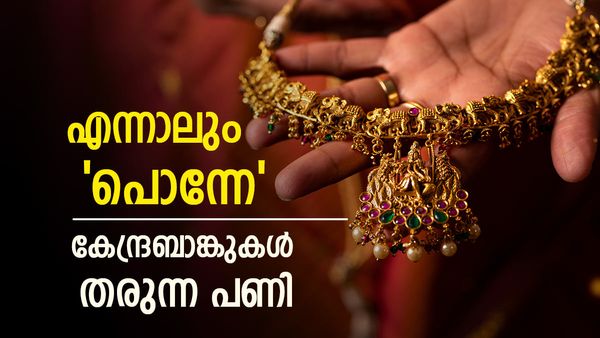 സ്വർണം ഒരു പവൻ കിട്ടാൻ 2 ലക്ഷവും പോരാതെ വരും; കേന്ദ്രബാങ്കുകൾ തരുന്നത് എട്ടിൻ്റെ പണി..പക്ഷെ