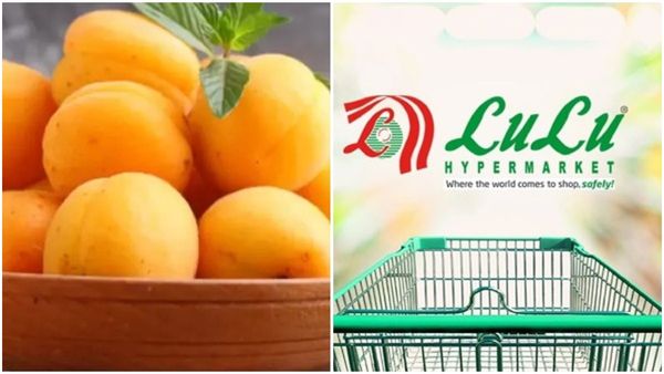 ലുലു ഗ്രൂപ്പ് കൈകൊടുത്തു; ലഡാക്ക് ആപ്രിക്കോട്ട് ലോക വിപണിയിലേക്ക്, 1000 മെട്രിക് ടണ്‍