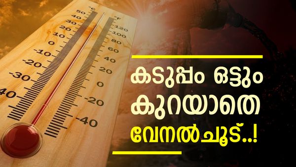 കേരളത്തിൽ വേനൽ ചൂടിന് കുറവില്ല; പാലക്കാട്, കൊല്ലം ജില്ലകളിൽ താപനില ഉയർന്ന് തന്നെ, മഴ പെയ്യുമോ?