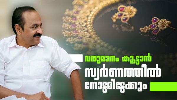 ബജറ്റില്‍ സ്വര്‍ണം ലക്ഷ്യമിട്ടേക്കും; പണം കണ്ടെത്താന്‍ വിഡി സതീശന്റെ തുറുപ്പുചീട്ട്, വരുമാനം ഇങ്ങനെ