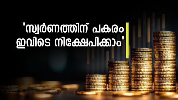 സ്വർണത്തിന് പകരം എന്ത്? ഗോൾഡ് ഇടിഎഫും വേണ്ട..ഇനി നിക്ഷേപിക്കേണ്ടത് ഇവയിൽ
