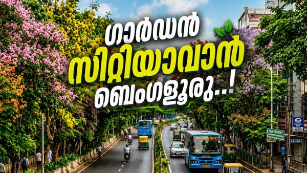 ബെംഗളൂരുവിലെ മൈസൂരു-മഗഡി റോഡ് ഹരിത ഇടനാഴിയാവും; 10 കിമീ ദൂരത്തിൽ 6000 മരങ്ങൾ നടുന്നു..!