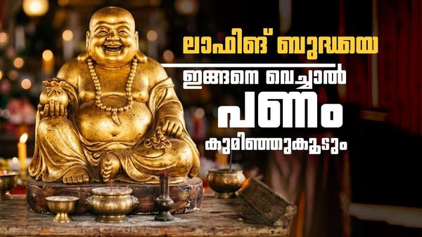 വീട്ടിൽ ഈ സ്ഥലത്ത് ലാഫിങ് ബുദ്ധയെ വെച്ചാൽ പണം ഒഴുകിയെത്തും; പക്ഷേ ഈ അബദ്ധം കാണിക്കരുത്!