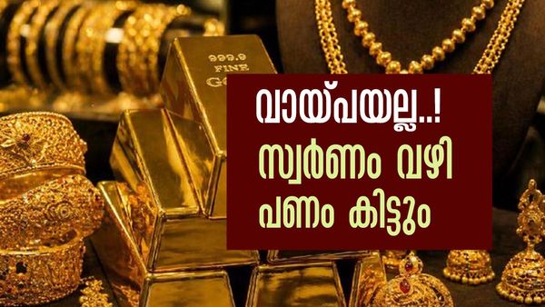 വായ്പ മാത്രം പോര.. സ്വര്‍ണം വഴി ആളുകളിലേക്ക് പണമെത്തണം; പ്രധാനമന്ത്രിയുടെ സാമ്പത്തിക ഉപദേശക