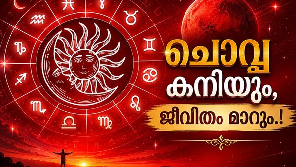 ചൊവ്വ രോഹിണി നക്ഷത്രത്തിലേക്ക്; ഈ രാശിക്കാർക്ക് വിദേശത്ത് ജോലി, കാത്തിരുന്ന പ്രണയം പൂവണിയും!