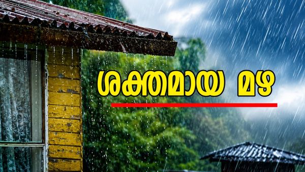 സംസ്ഥാനത്തെ എല്ലാ ജില്ലകളിലും ഇന്ന് മഴ സാധ്യത; കാരണം ന്യൂനമർദ്ദ പാത്തി, യെല്ലോ അലർട്ട് അഞ്ചിടത്ത്