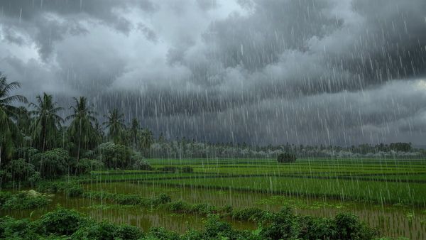 തീവ്ര ന്യൂനമർദം:ഓഗസ്റ്റ് 4 വരെ ശക്തമായ മഴ..നാളെ 9 ജില്ലകളിൽ ഓറഞ്ച് അലർട്ട്