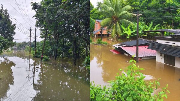 പത്തനംതിട്ടയിൽ കെഎസ്ഇബിക്ക് കനത്ത നാശനഷ്ടം; വൈദ്യുതി ഘട്ടമായി പുനഃസ്ഥാപിക്കും..പരാതികൾ ഈ നമ്പറിൽ അറിയിക്കാം