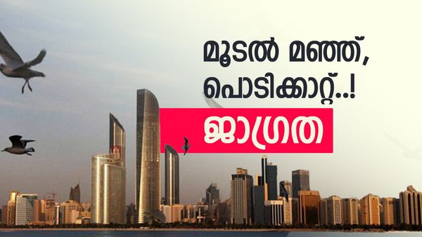 യുഎഇയിൽ കാലാവസ്ഥ അസ്ഥിരം; മഴയും പൊടിക്കാറ്റും വരാൻ സാധ്യത, വാഹനം ഓടിക്കുന്നവർ സൂക്ഷിക്കുക!