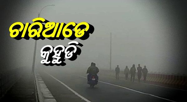 ଡରାଉଛି କୁହୁଡି, ଆସନ୍ତାକାଲି 7 ଜିଲ୍ଲାକୁ ୟେଲୋ ୱାର୍ଣ୍ଣିଂ