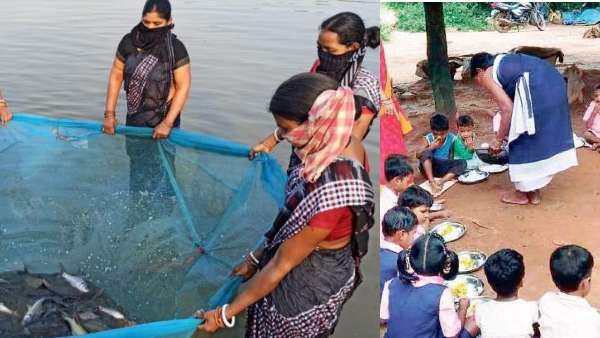 ଅଙ୍ଗନବାଡୀ ପିଲାଙ୍କୁ ଦିଆଯିବ ଚୁନା ମାଛ : ଗର୍ଭବତୀ ଓ କିଶୋରୀମାନଙ୍କୁ ମଧ୍ୟ ମିଳିବ ସୁବିଧା