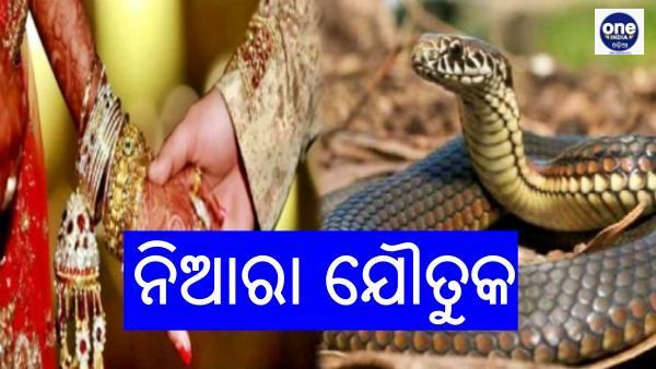 ଭାରତରେ ଏମିତି ବି ଜାଗା ଅଛି; ଯୌତୁକରେ ବାପା-ମା ଦିଅନ୍ତି ବିଷଧର ସାପ