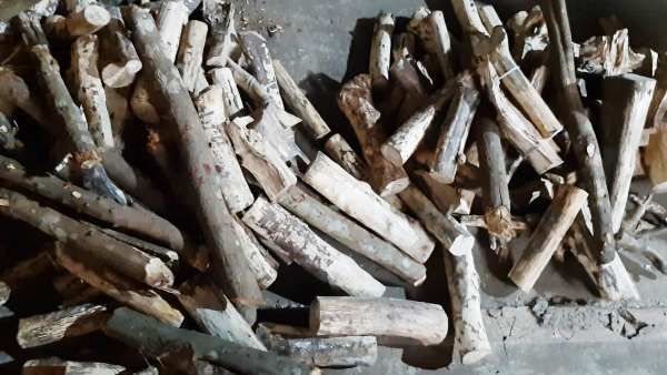 ଜଙ୍ଗଲରୁ ଚୋରା ଚାଲାଣ ହେଉଥିଲା ଚନ୍ଦନ କାଠ : ଛକି ରହି ମାଡ଼ି ବସିଲା STF