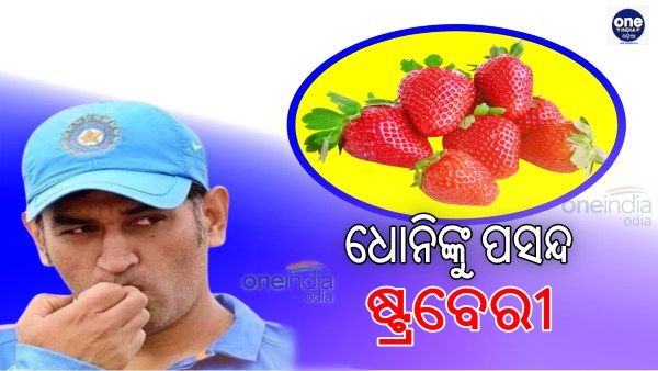 ଧୋନିଙ୍କୁ ପସନ୍ଦ ଷ୍ଟ୍ରବେରୀ, ଜାଣନ୍ତୁ ଷ୍ଟ୍ରବେରୀ ଦେଖିଲେ କଣ କରନ୍ତି ଧୋନି