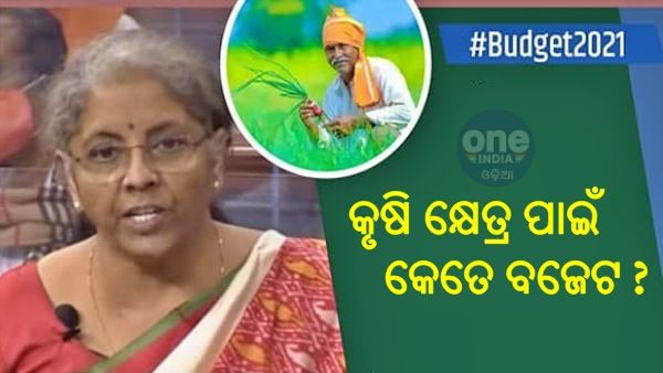 Union Budget 2021: ଜାଣନ୍ତୁ, କୃଷକ ଆନ୍ଦୋଳନ ମଧ୍ୟରେ କୃଷି କ୍ଷେତ୍ର ପାଇଁ କେତେ ବଜେଟ ?