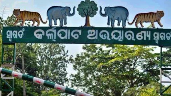 କଲରାପତ ହାତୀ ମୃତ୍ୟୁ ଘଟଣା: ଫେବୃଆରୀ 20 ରେ ଅନ-ଦି ସ୍ପଟ୍ ମୂଲ୍ୟାଙ୍କନ କରିବ କେନ୍ଦ୍ରୀୟ ଦଳ