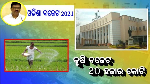 Odisha Budget 2021: କୃଷି ବଜେଟ 20 ହଜାର କୋଟି, କାଳିଆ ଯୋଜନା ପାଇଁ ୧୮୦୦ କୋଟି