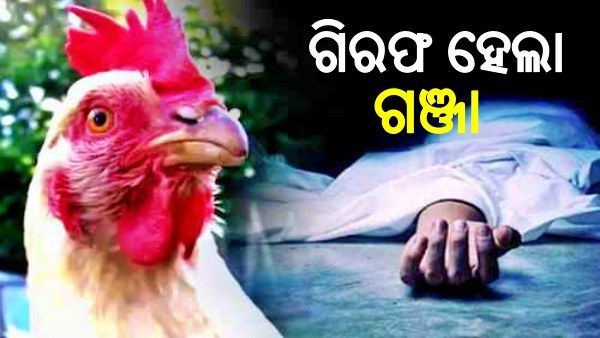 ମାଲିକକୁ ହତ୍ୟା କରି ଗିରଫ ହେଲା ଗଞ୍ଜା