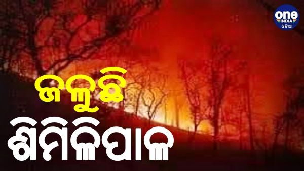 ଏବେ ବି ଜଳୁଛି ଶିମିଳିପାଳ ଅଭୟାରଣ୍ୟ, ନାସା ପଠାଇଲା ଫଟୋ