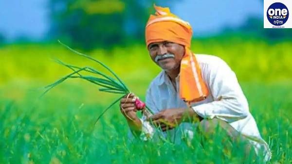 ପ୍ରଧାନମନ୍ତ୍ରୀ କିଷାନ ସମ୍ମାନ ନିଧି ଯୋଜନାର ଲାଭ ପାଇନାହାଁନ୍ତି କି ? ତେବେ ଜାଣନ୍ତୁ କିପରି ପାଇବେ ଟଙ୍କା