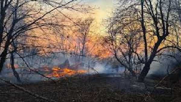 ପୁଣି ଶିମିଳିପାଳରେ ଜଙ୍ଗଲରେ ଲାଗିଛି ନିଆଁ