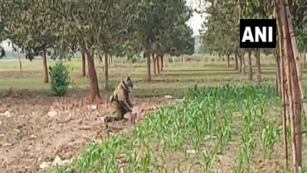 ପଶ୍ଚିମବଙ୍ଗ ମୁର୍ସିଦାବାଦରେ ମିଳିଲା 14ଟି ବୋମା, ପଞ୍ଚମ ପର୍ଯ୍ୟାୟରେ ମତଦାନ ସମୟରେ ବିସ୍ପୋରଣ କରିବାର ସନ୍ଦେହ