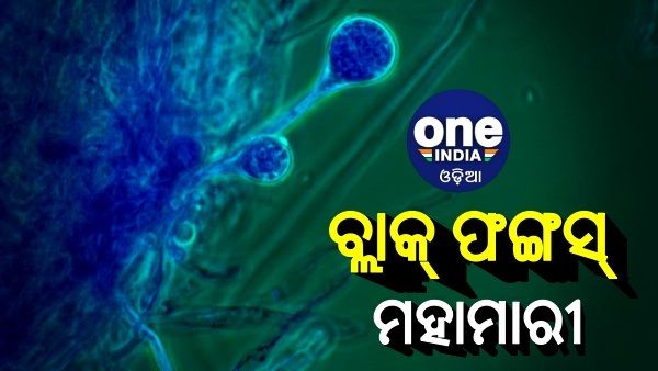ବ୍ଲାକ୍ ଫଙ୍ଗସକୁ ମହାମାରୀ ଘୋଷଣା କଲା ରାଜ୍ୟ ସରକାର