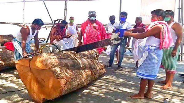 ପୁରୀ ରଥଖଳାରେ କରୋନା, ୮ ସେବାୟତ କରୋନା ପଜିଟିଭ୍