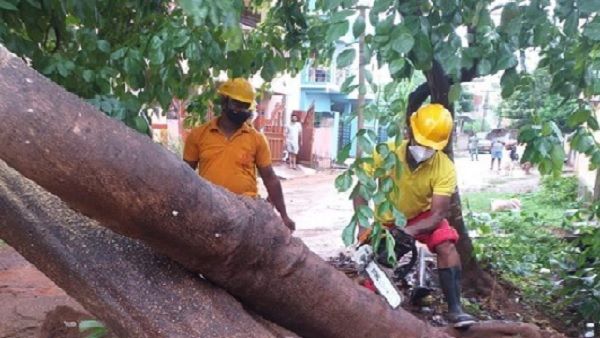 Cyclone Yaas : ଝାଡଖଣ୍ଡରେ 'ୟାସ୍', 4 ଜଣଙ୍କର ନେଇଛି ପ୍ରାଣ, 20 ଟି ଜିଲ୍ଲାରେ ରେଡ୍ ଆଲର୍ଟ