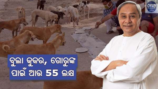 ବୁଲା ଗାଈଗୋରୁ ଓ କୁକୁରଙ୍କ ଖାଦ୍ୟ ପାଇଁ ଆଉ ପଞ୍ଚାବନ ଲଷ ଟଙ୍କା ମଞ୍ଜୁର