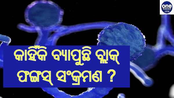 କାହିଁକି ବ୍ୟାପୁଛି ବ୍ଲାକ୍ ଫଙ୍ଗସ୍ ସଂକ୍ରମଣ ? କାରଣ କହିଲେ ବିଶେଷଜ୍ଞ