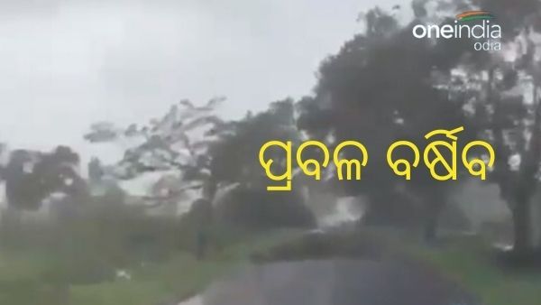 ପ୍ରବଳ ବର୍ଷିବ: 19 ତାରିଖ ଯାଏଁ ଏହି ସବୁ ଜିଲ୍ଲାକୁ ୟେଲୋ ୱାର୍ଣ୍ଣିଂ ଜାରି