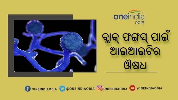 ବ୍ଲାକ୍ ଫଙ୍ଗସ୍ ପାଇଁ ଔଷଧ ବାହାର କଲା ଆଇଆଇଟି ହାଇଦ୍ରାବାଦ୍