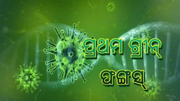 ବ୍ଲାକ୍ ଫଙ୍ଗସ୍ ପରେ ଗ୍ରୀନ୍ ଫଙ୍ଗସ୍, କରୋନାରୁ ସୁସ୍ଥ ହେବା ପରେ ହେଲେ ସଂକ୍ରମିତ