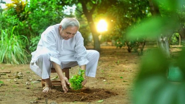 ବୃକ୍ଷରୋପଣକୁ ନେଇ ଭାବବିହ୍ଵଳ ହେଲେ ନବୀନ: ସେୟାର କଲେ ଫଟୋ, କହିଲେ ଦିନେ ଏହି ଗଛରେ ପକ୍ଷୀ ବସା ଦେବେ