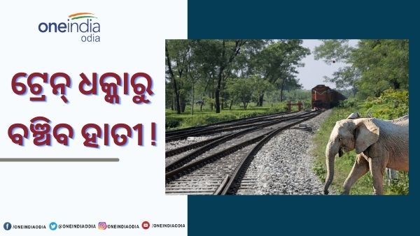 ରେଳ ଧକ୍କାରେ ହାତୀ ମୃତ୍ୟୁ ଉପରେ ଲଗାମ ଲାଗିବ ! ଓଡିଶା ଆପଣାଇବ ଗୁଜୁରାଟ୍ ମଡେଲ୍