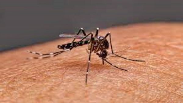 ରାଜଧାନୀରେ ଡେଙ୍ଗୁ ନେଲା ପ୍ରଥମ ଜୀବନ : 15 ବର୍ଷର ନାବାଳକ ମୃତ