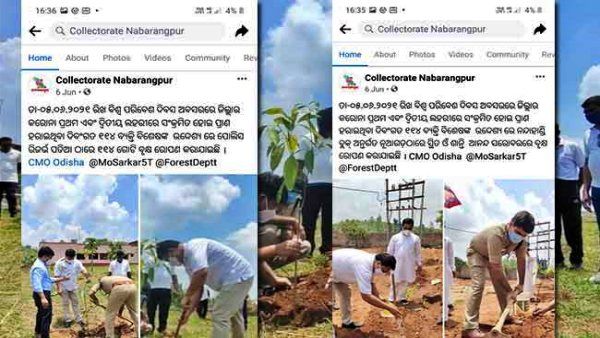 ଜିଲ୍ଲାପାଳଙ୍କ ବୃକ୍ଷରୋପଣ ଖୋଲୁଛି ନବରଙ୍ଗପୁର କୋଭିଡ୍ ମୃତ୍ୟୁର ଗୁମର !